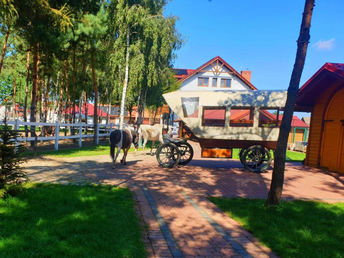 فيلا Osrodek Agroturystyczny Zacisze Giewartów المظهر الخارجي الصورة
